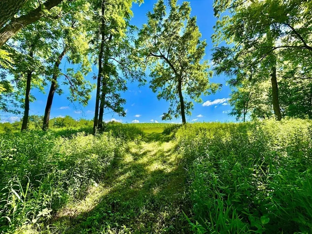 0 Orlin Lane Stockholm, WI 54769