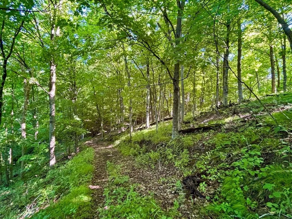 0 Orlin Lane Stockholm, WI 54769