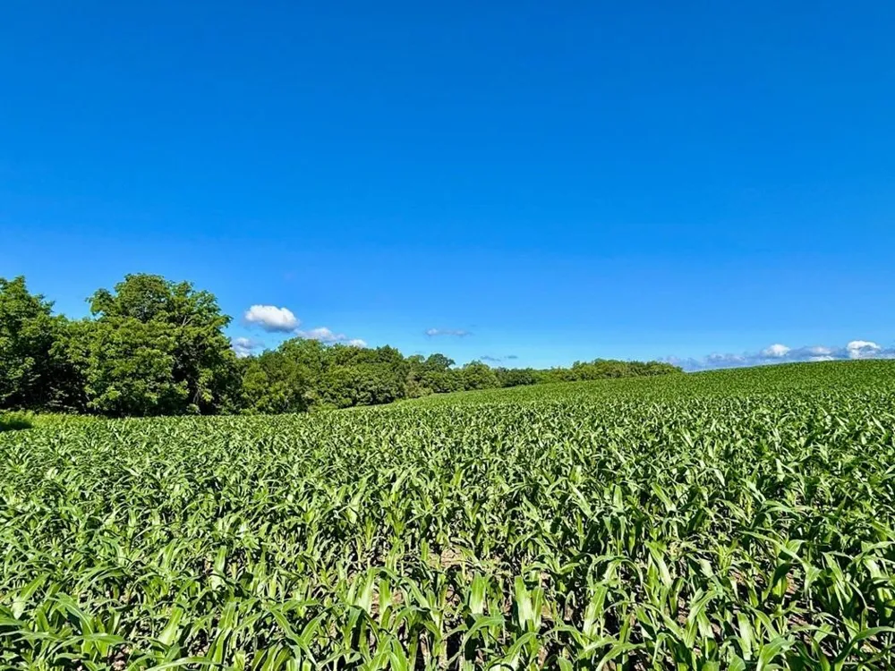 0 Orlin Lane Stockholm, WI 54769