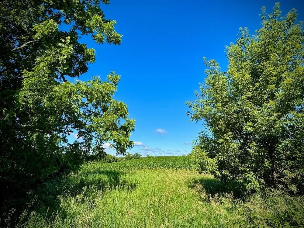 0 Orlin Lane Stockholm, WI 54769