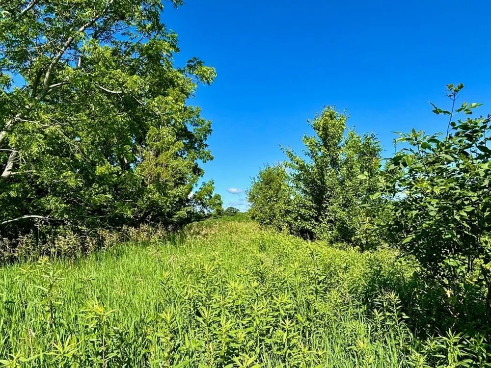 0 Orlin Lane Stockholm, WI 54769