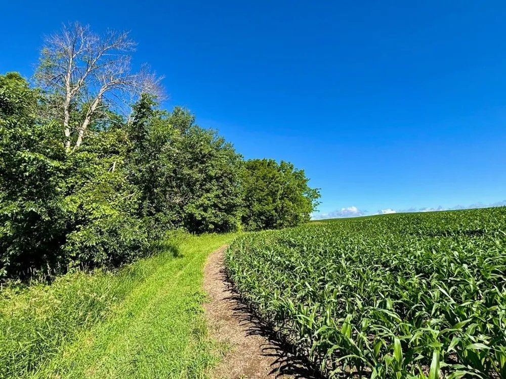 0 Orlin Lane Stockholm, WI 54769