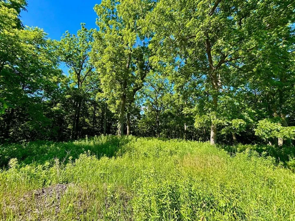0 Orlin Lane Stockholm, WI 54769