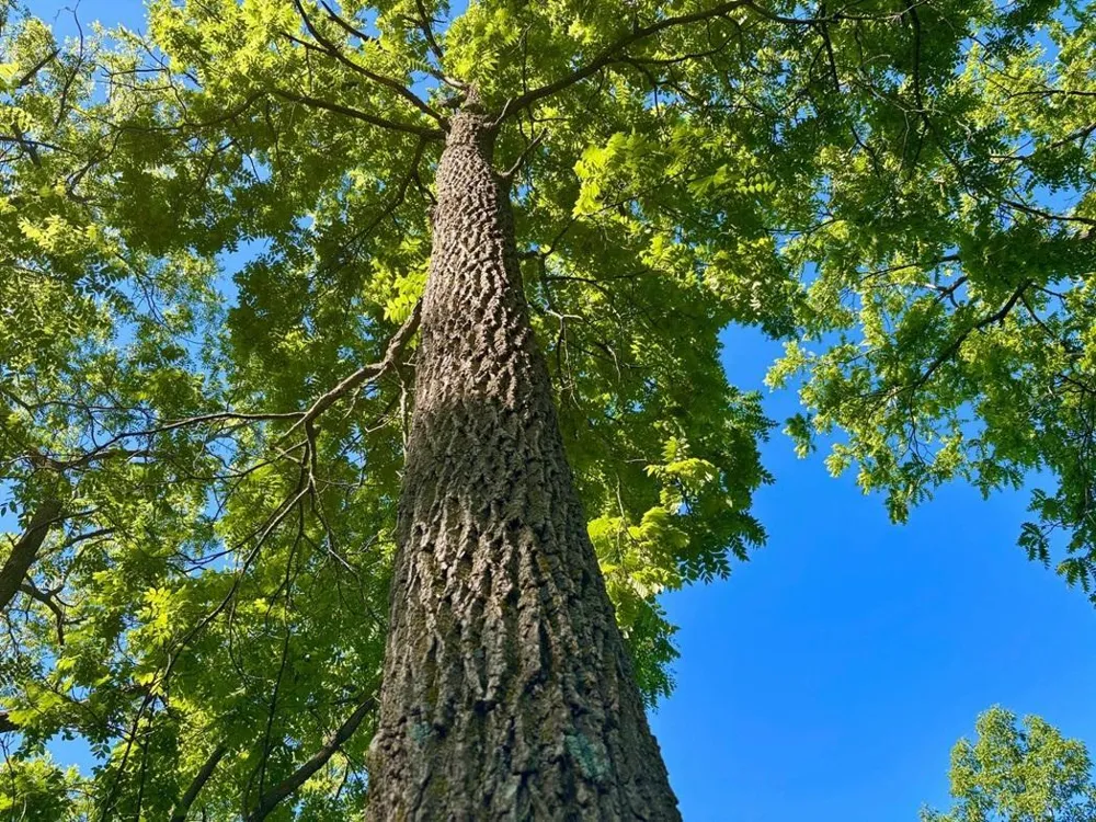0 Orlin Lane Stockholm, WI 54769