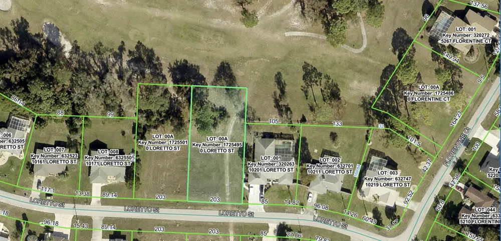 Tbd Loretto Lot 4 Street Spring Hill, FL 34608