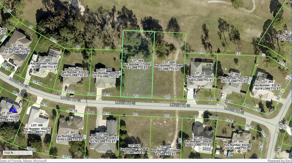 Tbd Loretto Lot 5 Street Spring Hill, FL 34608