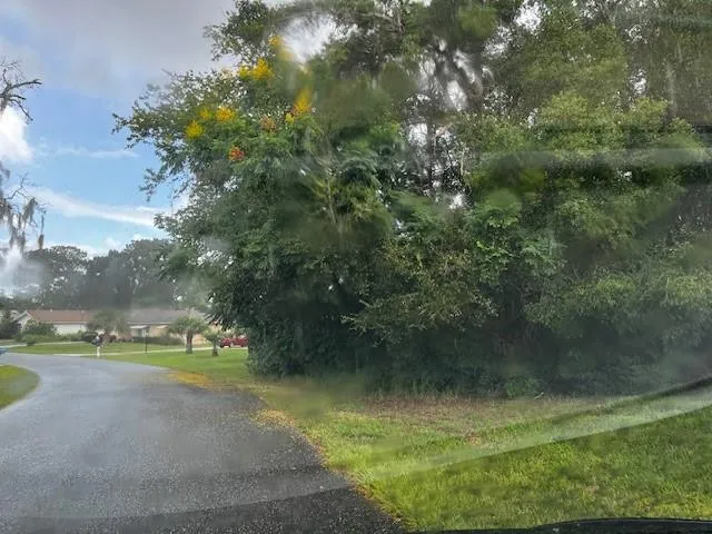 Silver Course Loop ocala, FL 34472