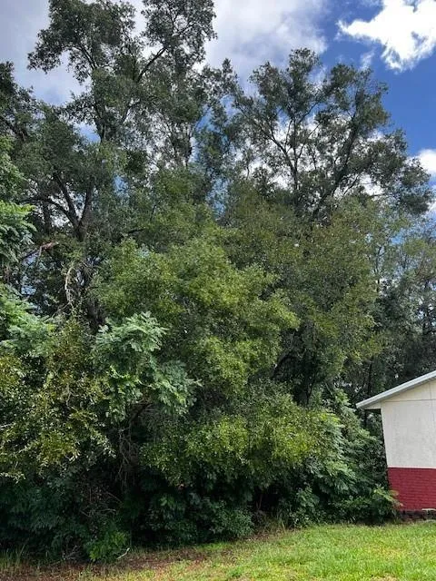Silver Course Loop ocala, FL 34472