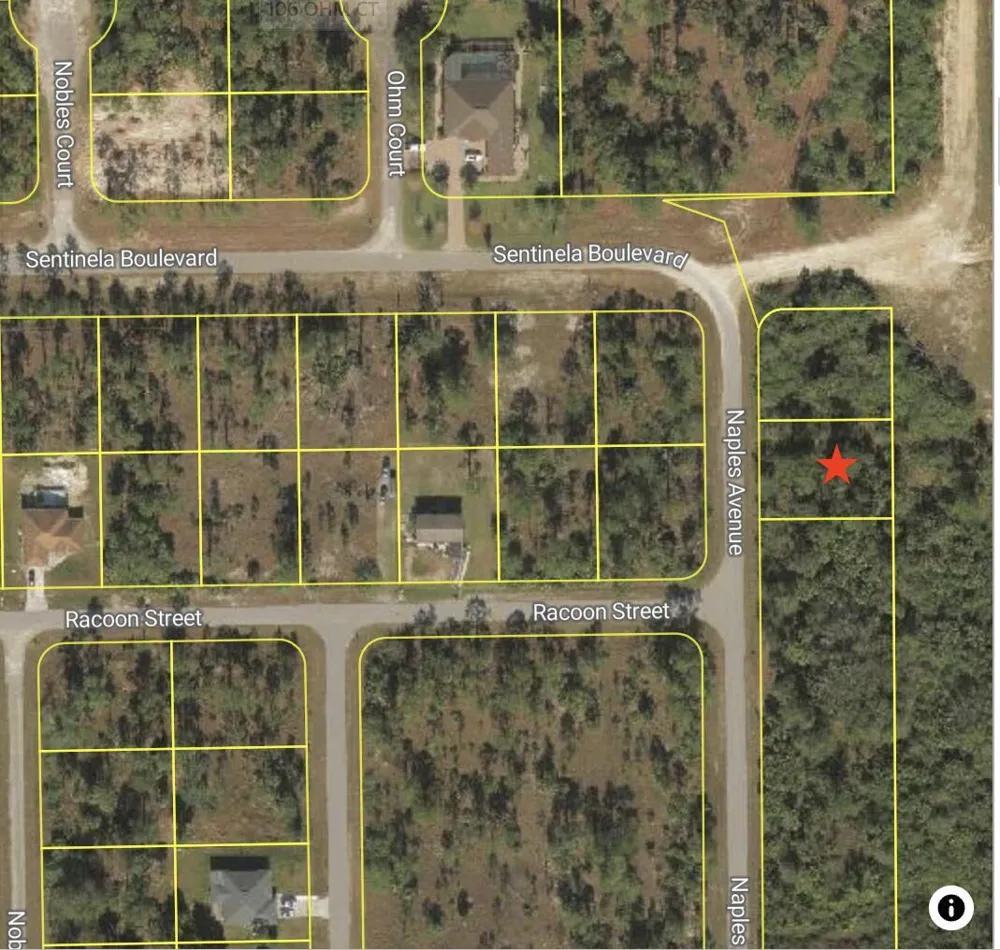 121 Naples Avenue S Lehigh Acres, FL 33974