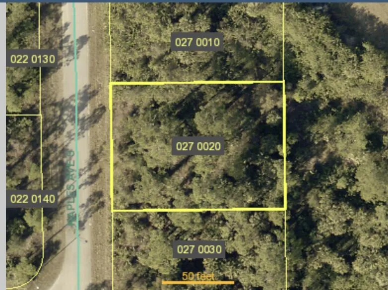 121 Naples Avenue S Lehigh Acres, FL 33974