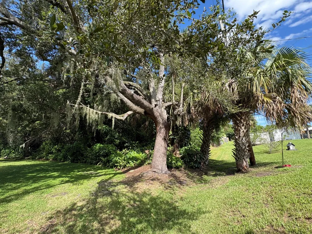Santa Clara Boulevard Port St. Lucie, FL 34951