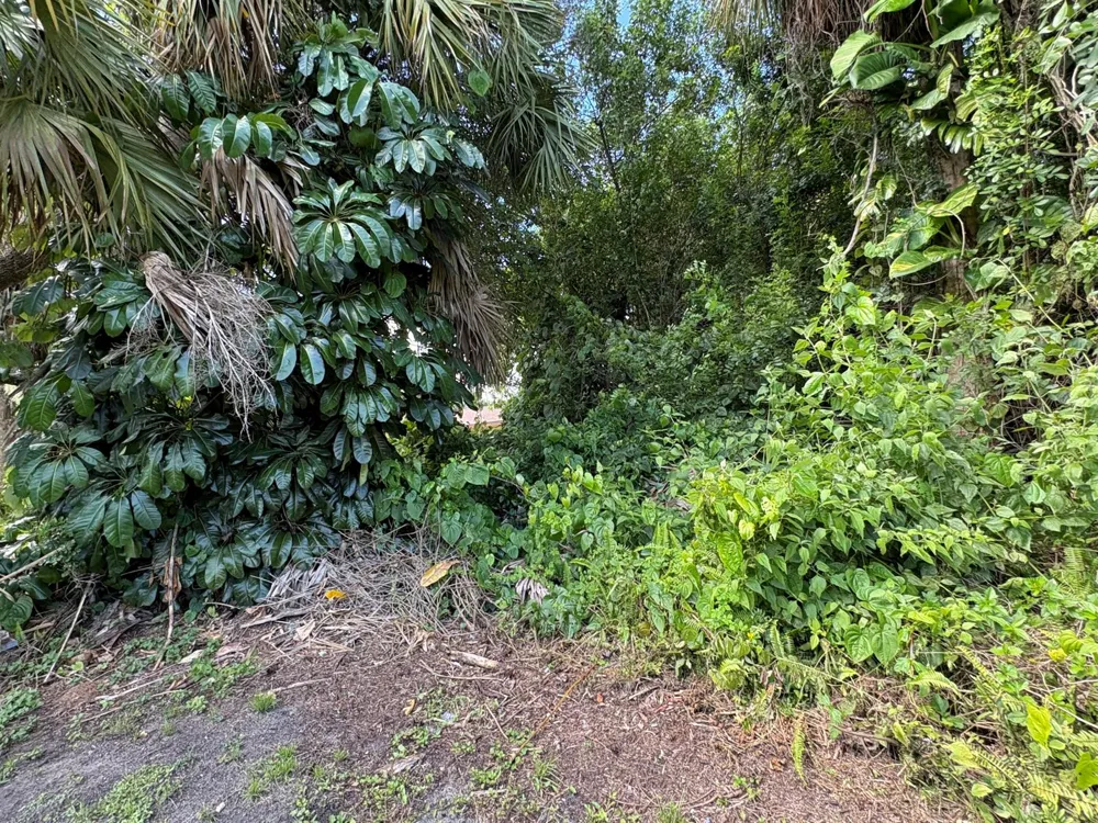 Santa Clara Boulevard Port St. Lucie, FL 34951