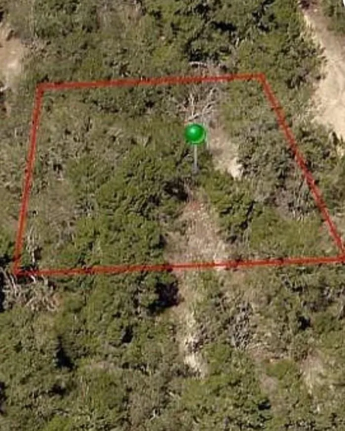 107 Cristy Avenue Inverness, FL 34452