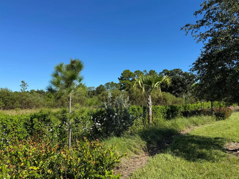 13105 Monte Rosa Court Palm Beach Gardens, FL 33412