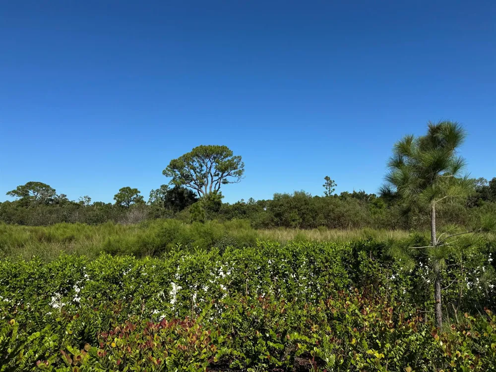 13105 Monte Rosa Court Palm Beach Gardens, FL 33412