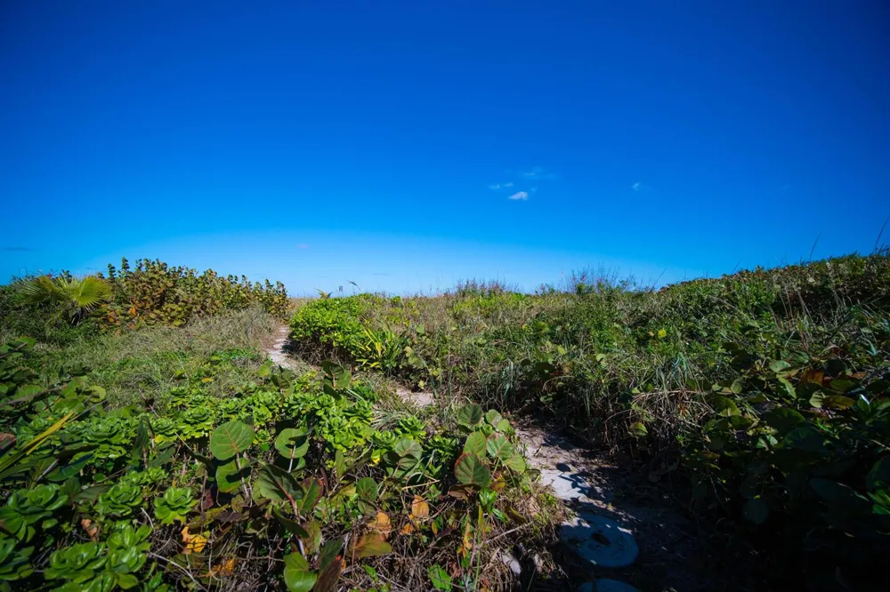 4000 S Ocean Boulevard Lantana, FL 33462
