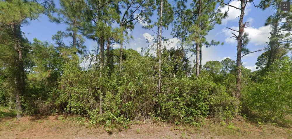 519 Genesee Avenue S Lehigh Acres, FL 33974