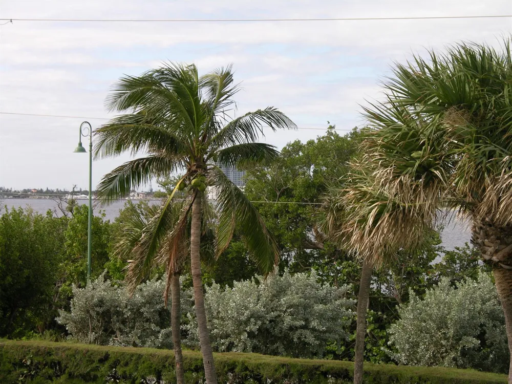 5550 Ocean Drive #2b Singer Island, FL 33404