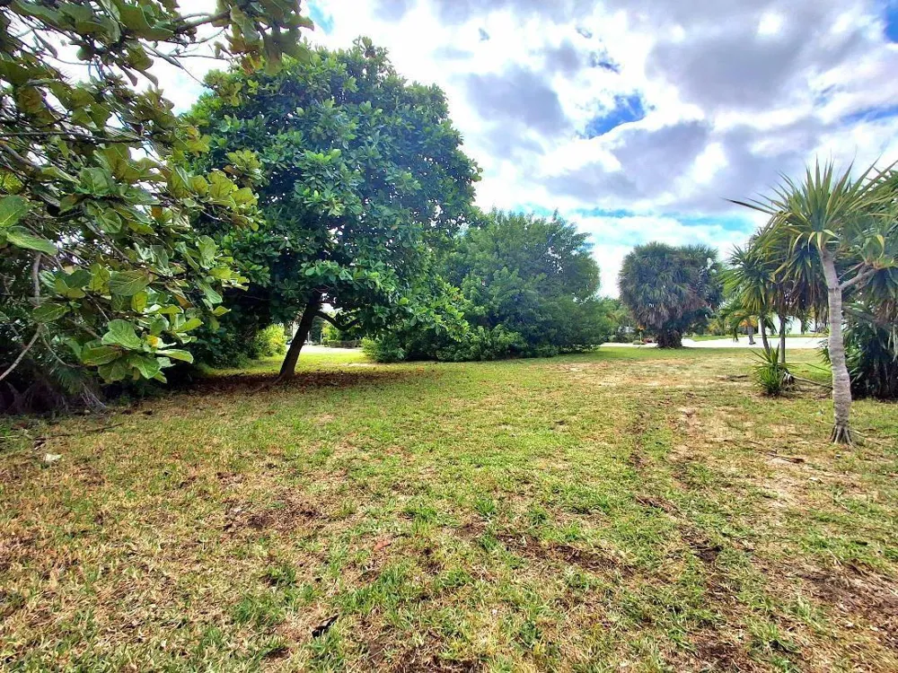 239 Hibiscus Avenue Lauderdale By The Sea, FL 33308