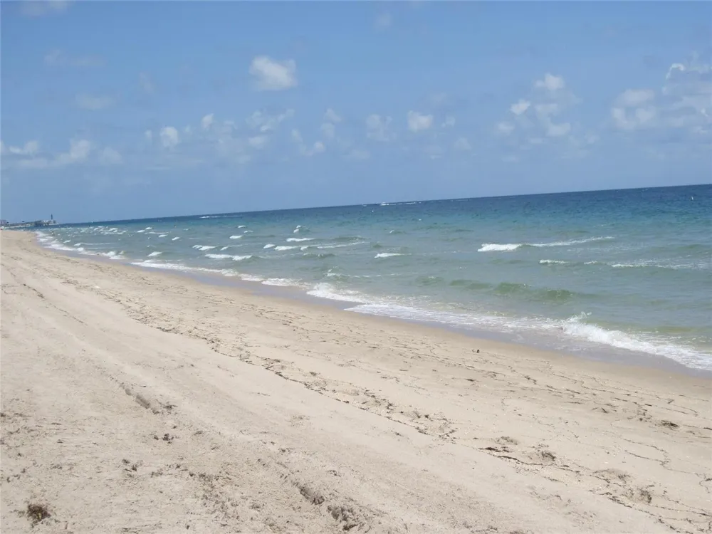 239 Hibiscus Avenue Lauderdale By The Sea, FL 33308