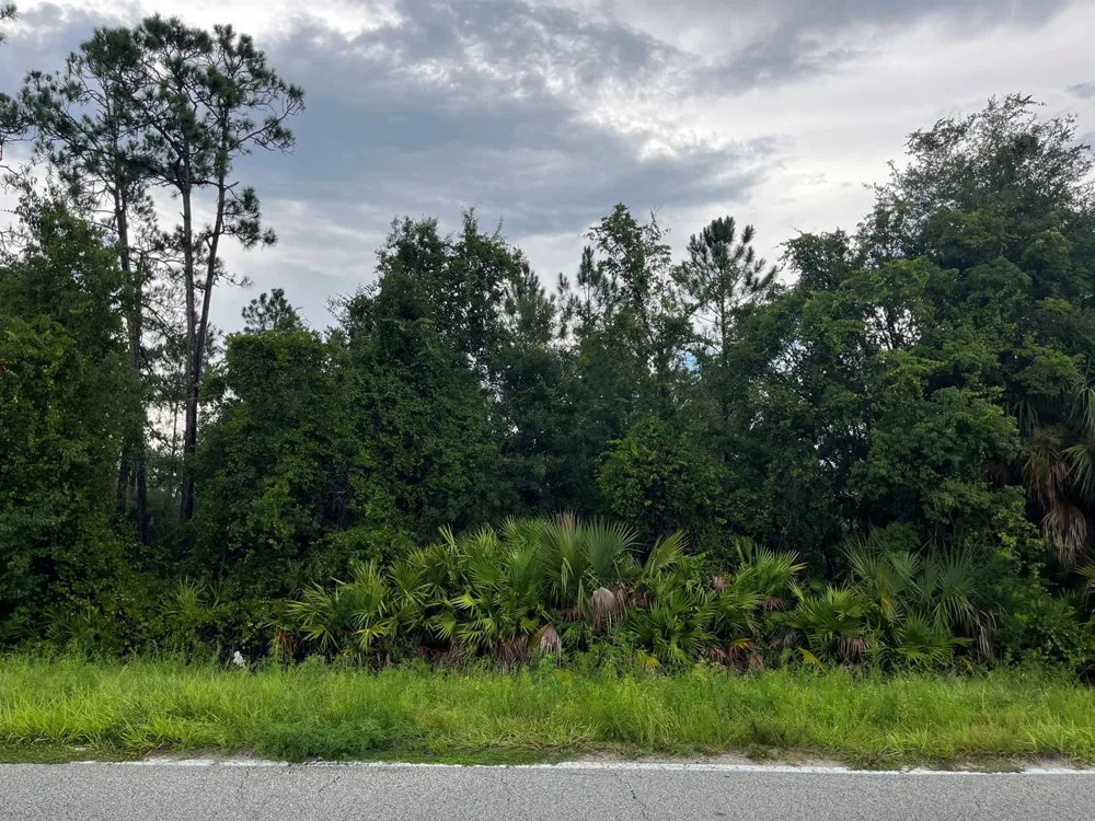 6883 St Johns Avenue Palatka, FL 32177