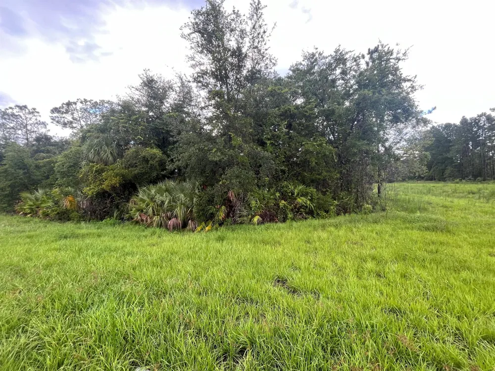 6883 St Johns Avenue Palatka, FL 32177