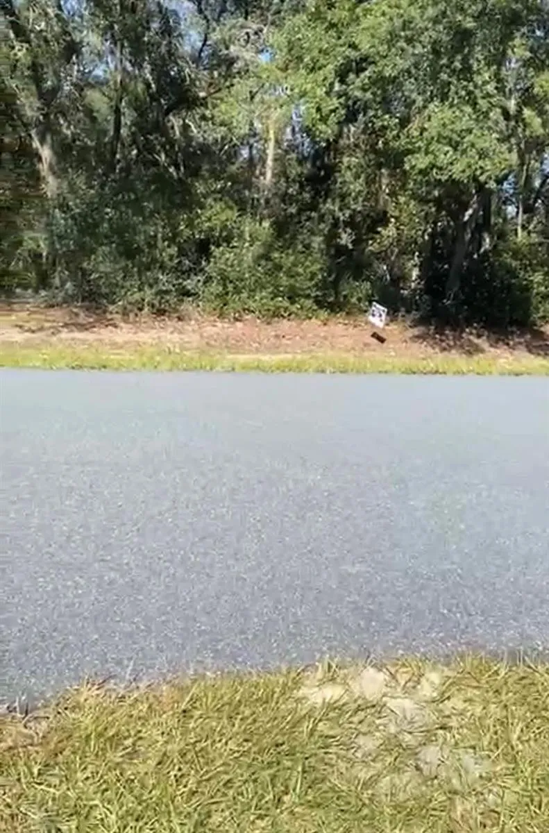 4017 SW 133rd Loop ocala, FL 34473