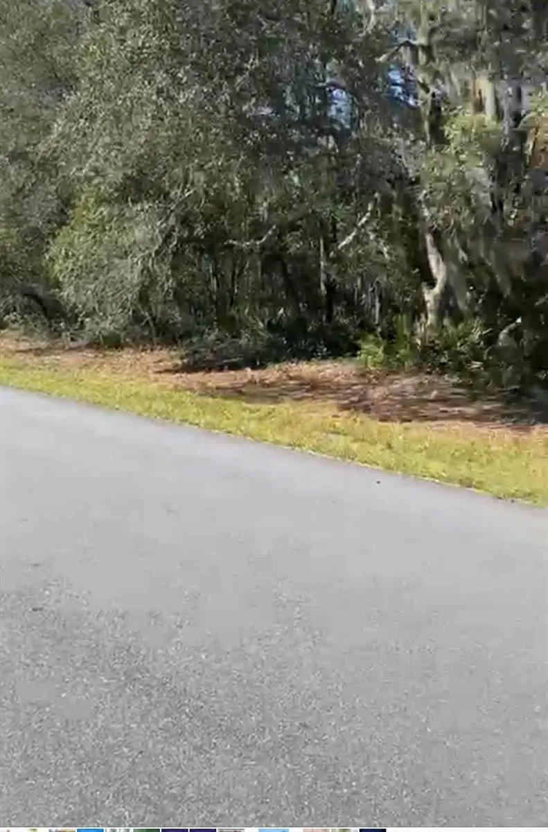 4017 SW 133rd Loop ocala, FL 34473
