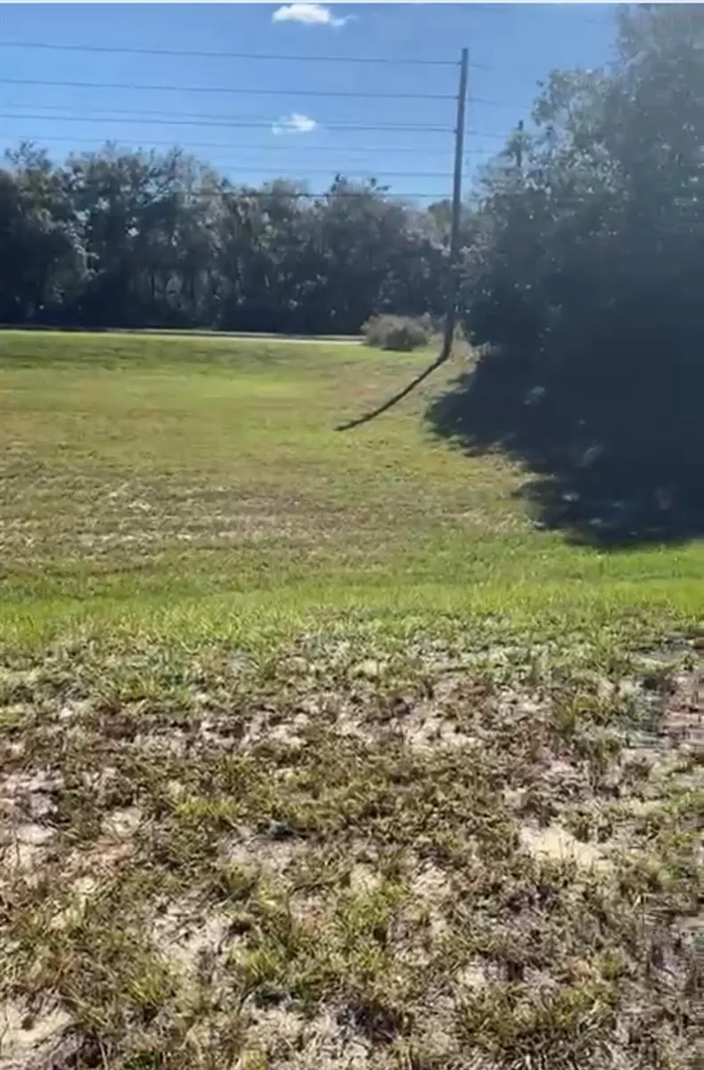 4017 SW 133rd Loop ocala, FL 34473