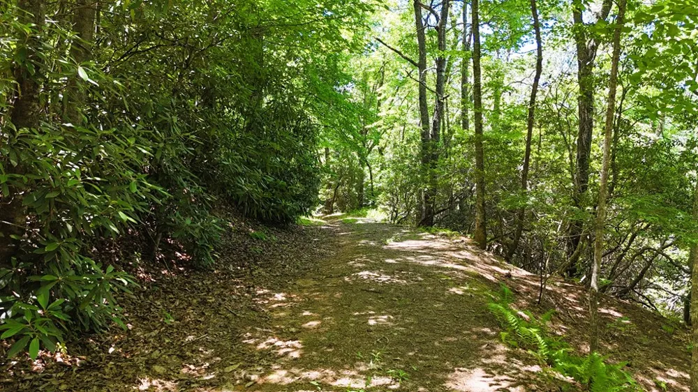 Chalk Hill Rd Franklin, NC 28734