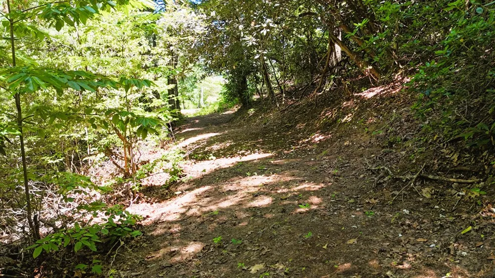 Chalk Hill Rd Franklin, NC 28734