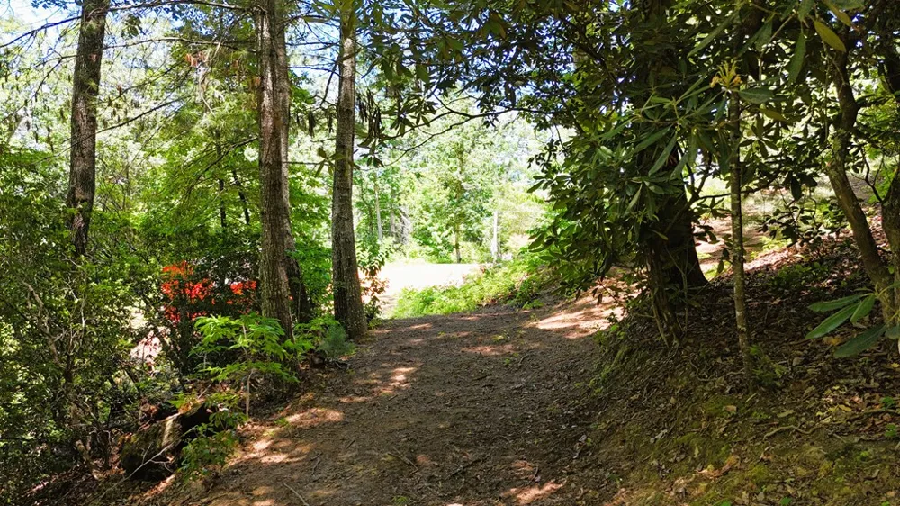 Chalk Hill Rd Franklin, NC 28734