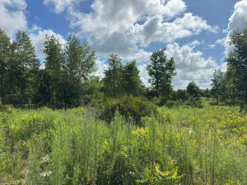 TBD MARION OAKS BOULEVARD ocala, FL 34473