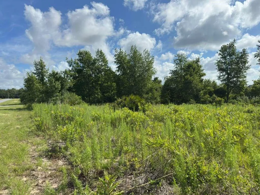 TBD MARION OAKS BOULEVARD ocala, FL 34473