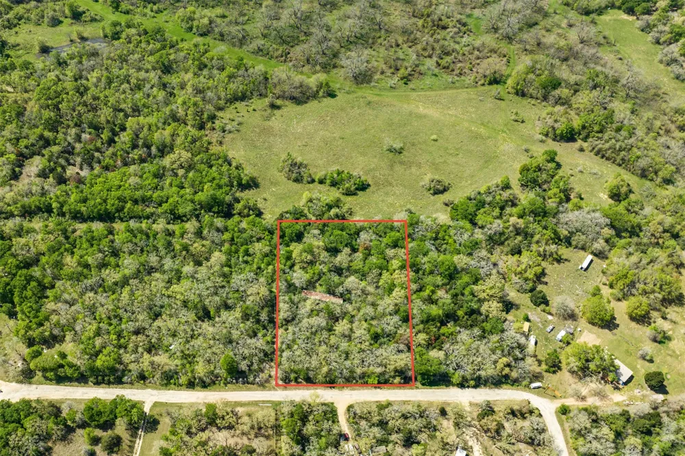 1156 Deerwood Drive Elgin, TX 78621