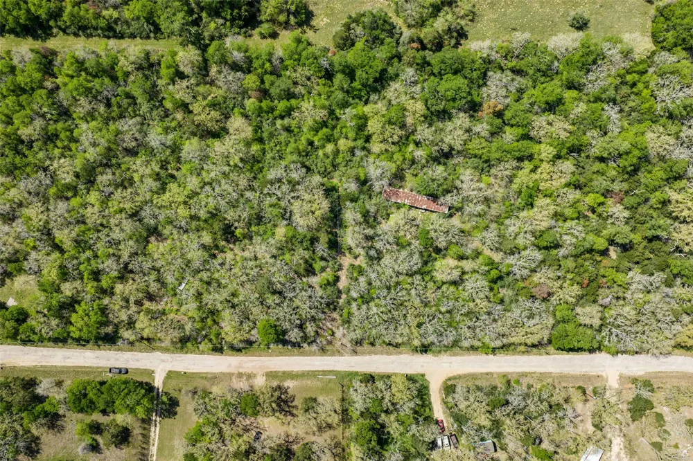 1156 Deerwood Drive Elgin, TX 78621