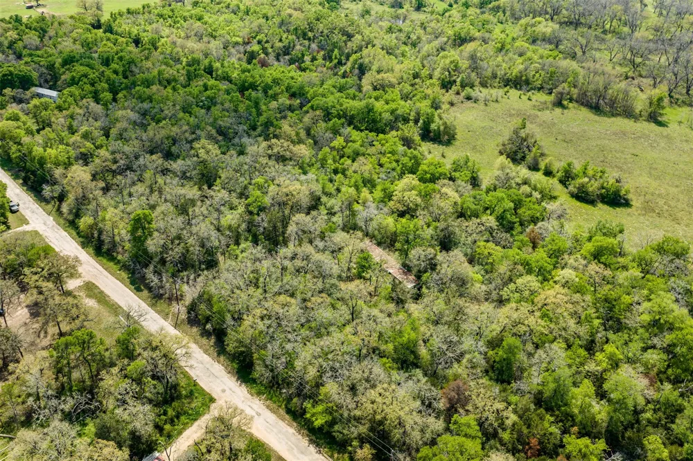 1156 Deerwood Drive Elgin, TX 78621