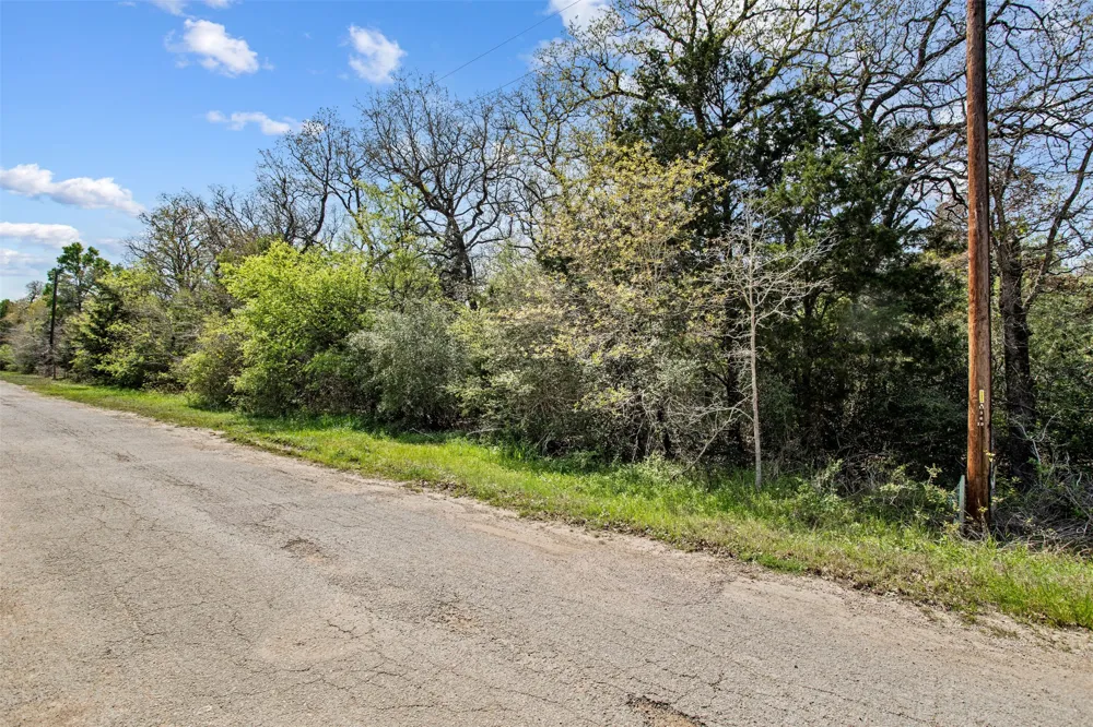 1156 Deerwood Drive Elgin, TX 78621