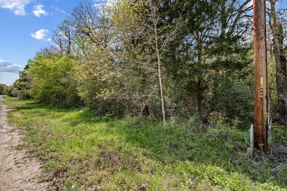 1156 Deerwood Drive Elgin, TX 78621