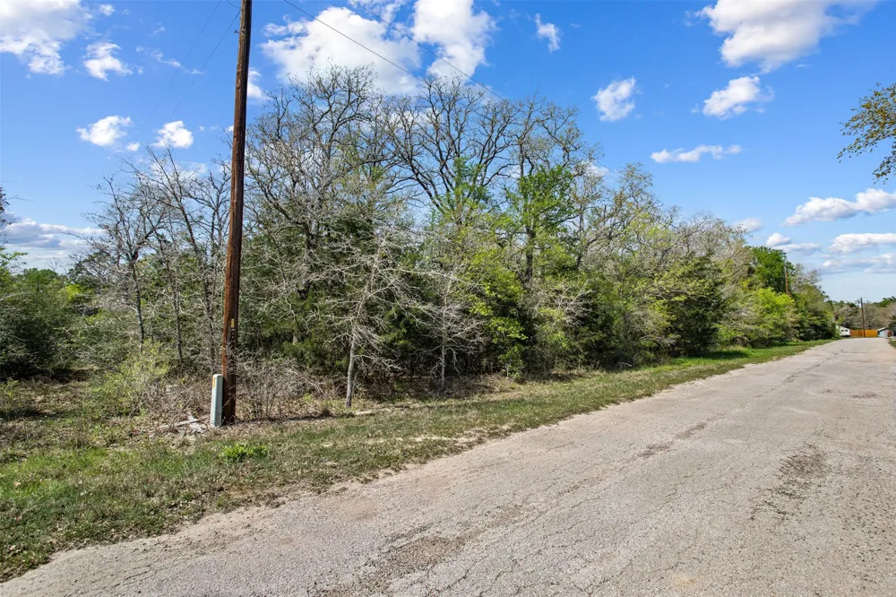 1156 Deerwood Drive Elgin, TX 78621