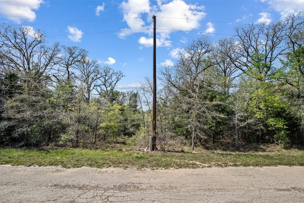 1156 Deerwood Drive Elgin, TX 78621