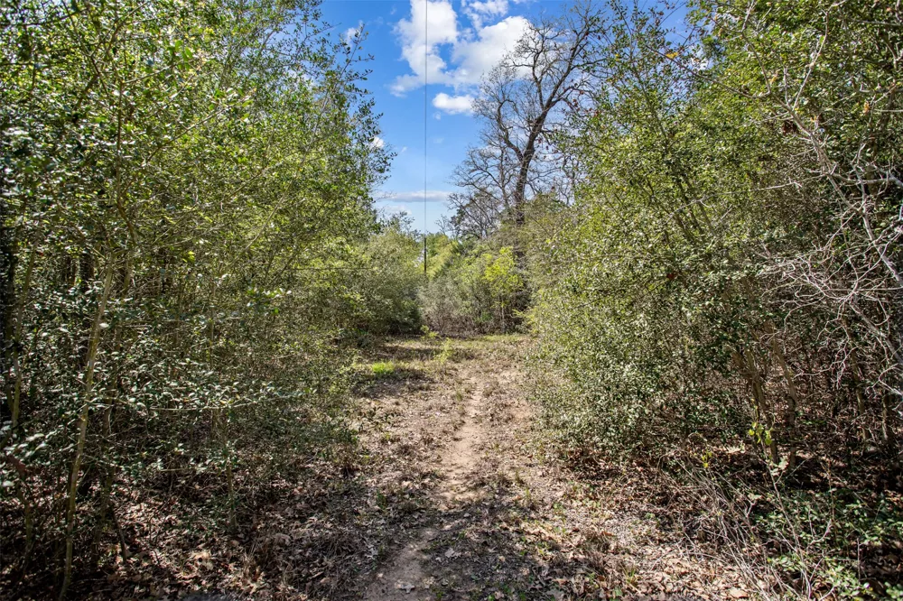 1156 Deerwood Drive Elgin, TX 78621