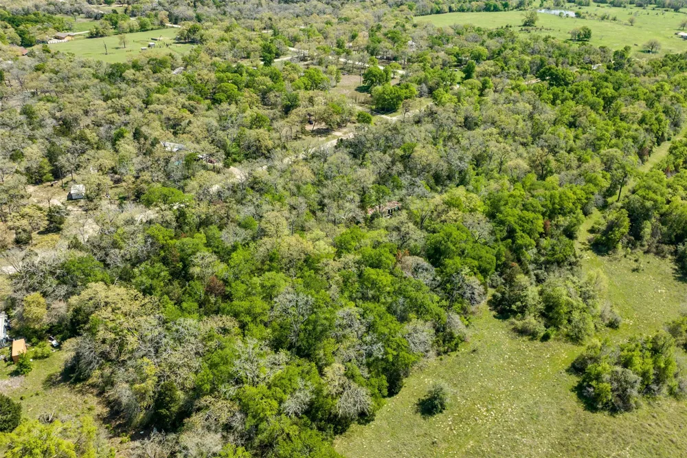 1156 Deerwood Drive Elgin, TX 78621