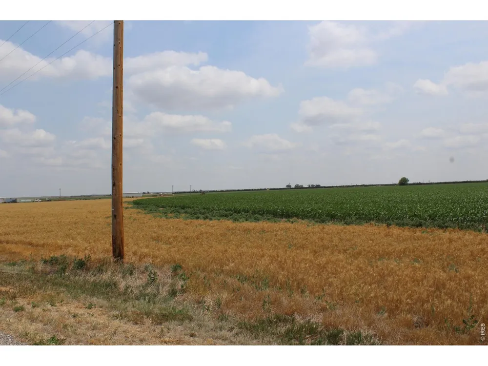 9614 County Road 6 Wiggins, CO 80654