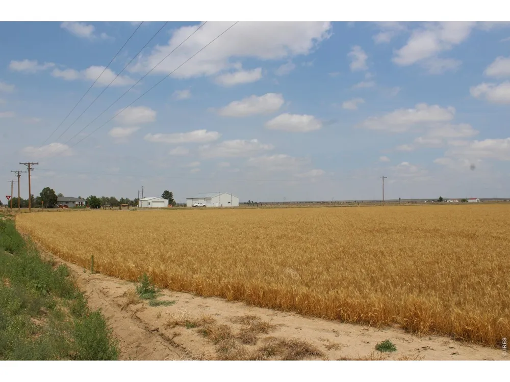 9614 County Road 6 Wiggins, CO 80654
