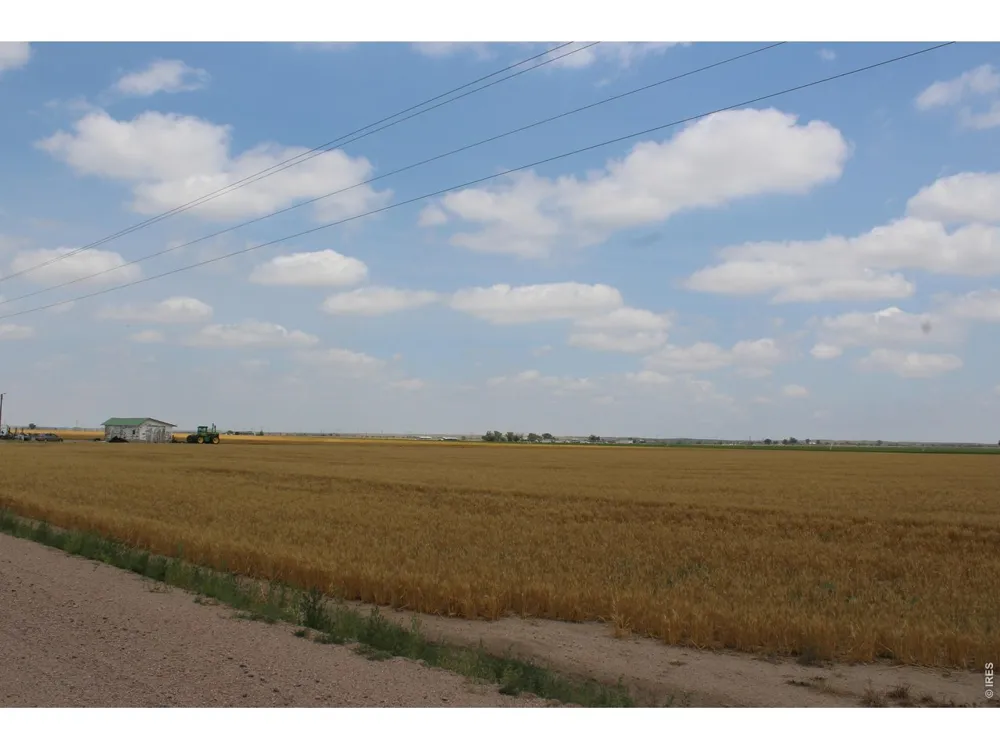9614 County Road 6 Wiggins, CO 80654