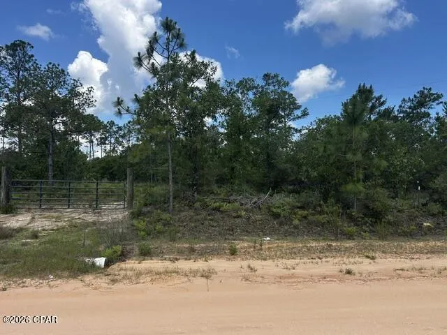 2114 Ocala Drive Alford, FL 32420