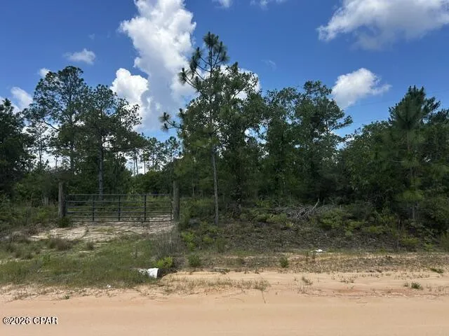 2114 Ocala Drive Alford, FL 32420
