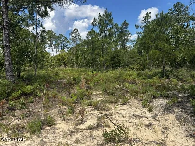 2114 Ocala Drive Alford, FL 32420