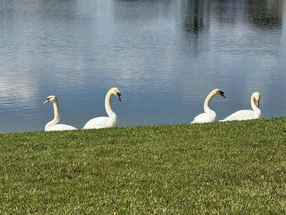 8913 SW Chevy Circle Stuart, FL 34997